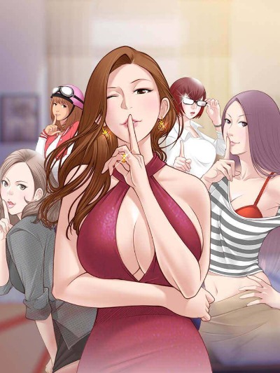 钢之炼金术师 封面